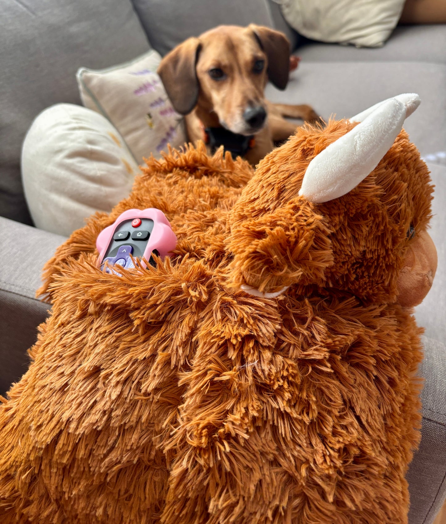 Highland Cow Sofa Tidy