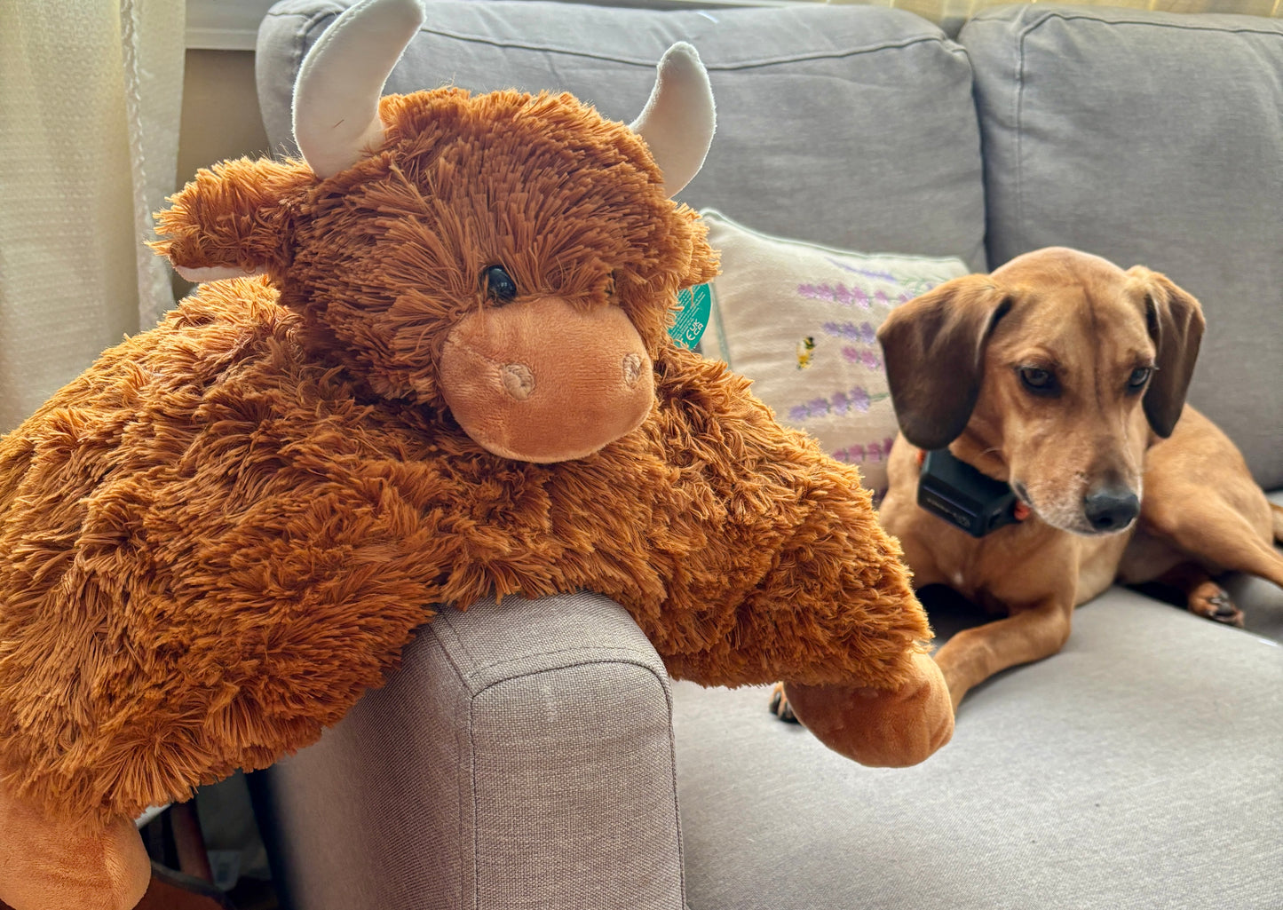 Highland Cow Sofa Tidy