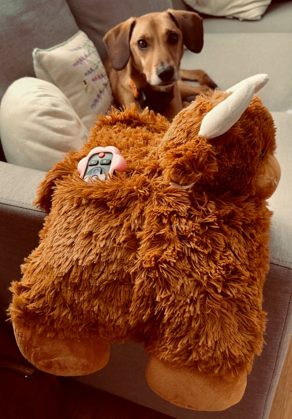Highland Cow Sofa Tidy